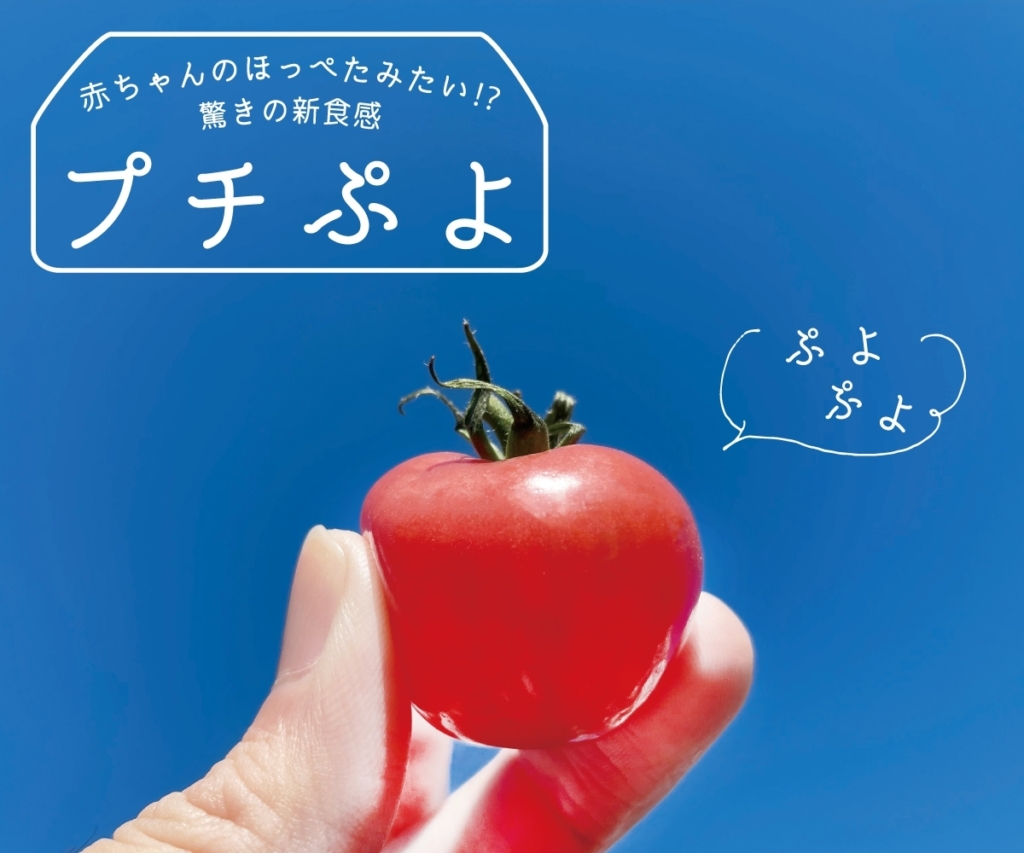 プチぷよ