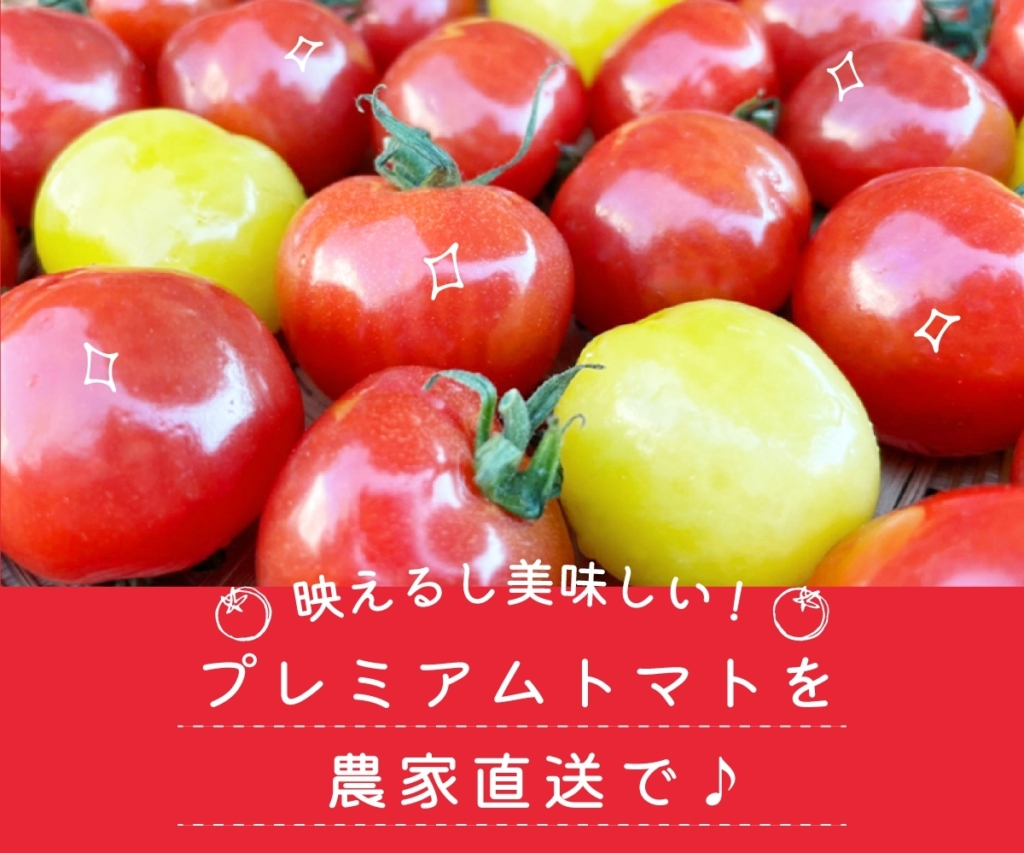 プチぷよのお取り寄せ・通販